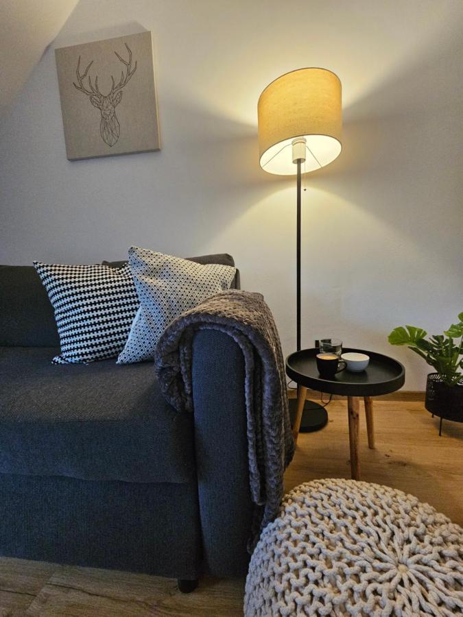 Apartment Horsky Miki *
